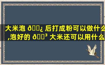 大米泡 🌿 后打成粉可以做什么,泡好的 🌳 大米还可以用什么打成米浆